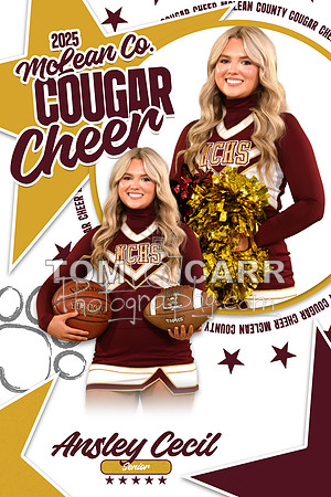 A.Cecil_Cheer_Senior_Banner