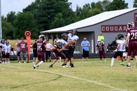 MCMSF-7_090225-110
