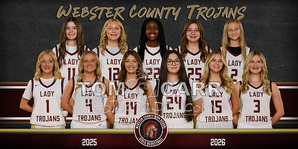 WCHS Girls BB Team Banner