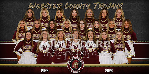 WCHS Winter Cheer Team Banner