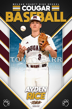 A.Rice Baseball Banner