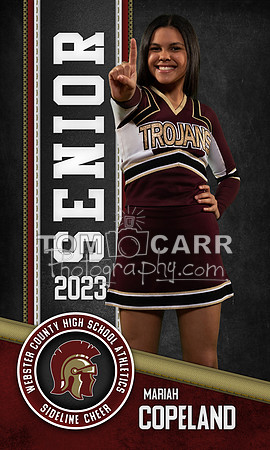 M.Copeland_Cheer_Banner_2