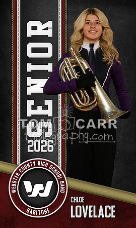 C.Lovelace Band Banner