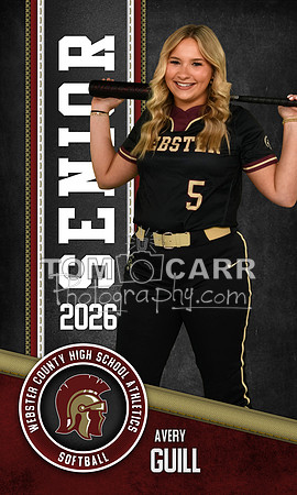 A.Guill_Softball_Banner
