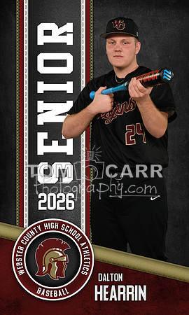D.Hearrin_Baseball_Banner