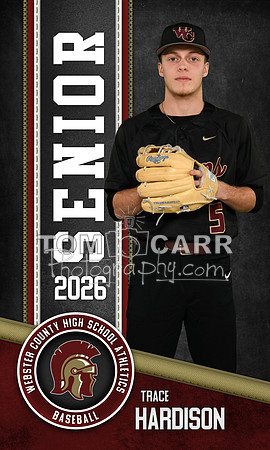 T.Hardison_Baseball_Banner