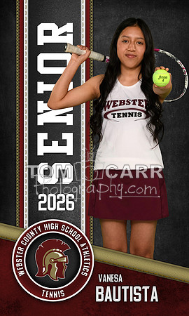 V.Bautista_Tennis_Banner