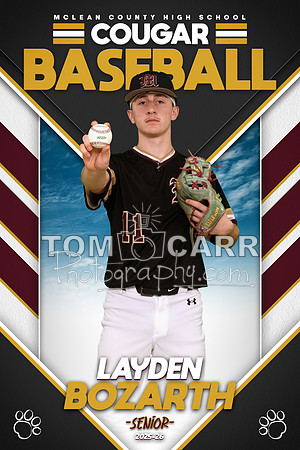 L.Bozarth_Baseball_Bnr