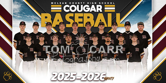 _Baseball Team Banner