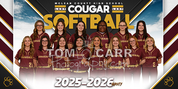 _Softball Team Banner