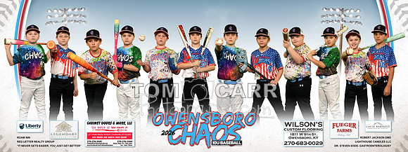 Chaos Team Banner
