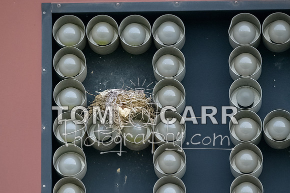 MCHS+Soccer_082118-152