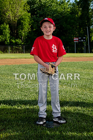 cardinals-103