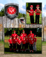 cardinals-101_MM