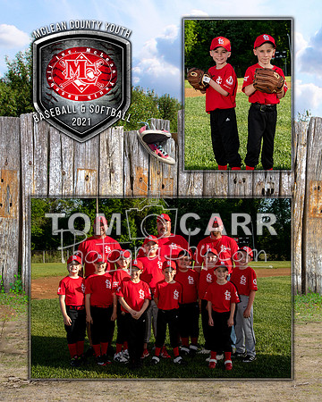 cardinals-101_MM