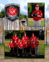 cardinals-104_MM
