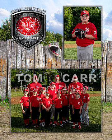 cardinals-104_MM