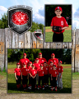 cardinals-107_MM