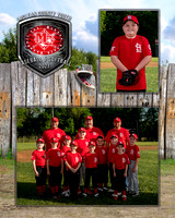 cardinals-102_MM