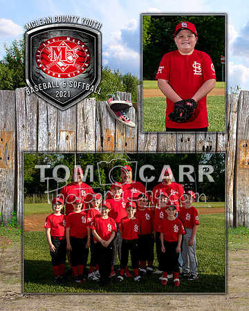 cardinals-102_MM