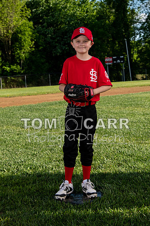 cardinals-107