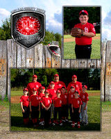 cardinals-109_MM