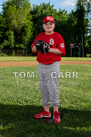 cardinals-104