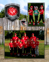 cardinals-110_MM