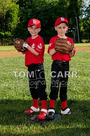 cardinals-101