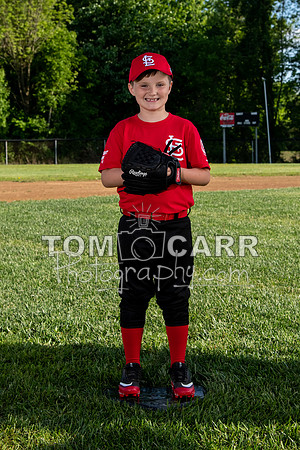 cardinals-105