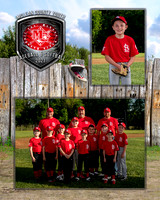 cardinals-103_MM
