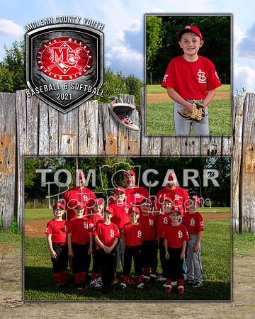 cardinals-103_MM