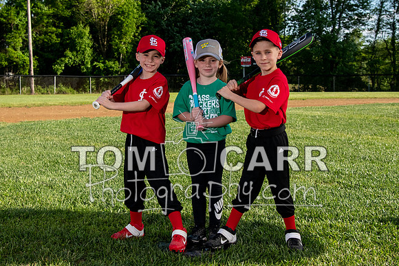 cardinals-110