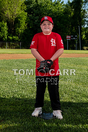 cardinals-102