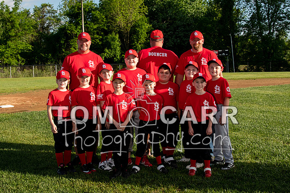 Cardinals2