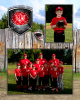 cardinals-108_MM
