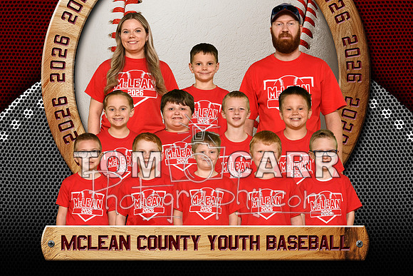 _MCYBS-2026_Greenfield-R-Team