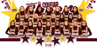 MCHS_Cheer_Team_Banner