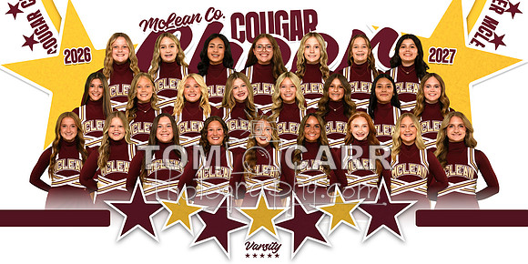 MCHS_Cheer_Team_Banner