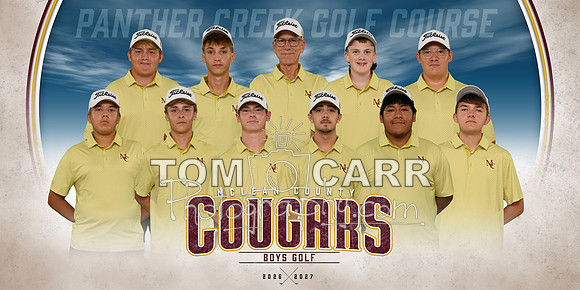 MCHS_Golf_Team_Banner
