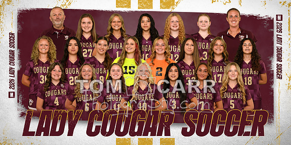 MCHS Soccer Team Banner
