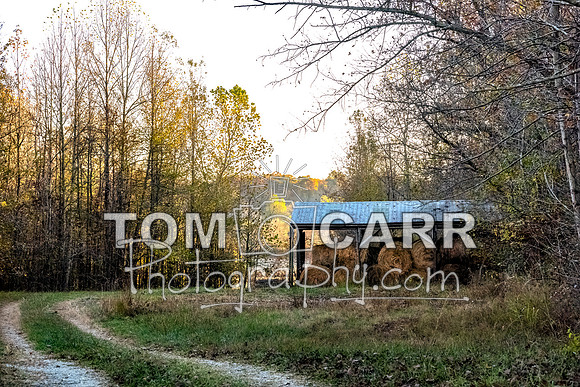 McLean_County_111316-101