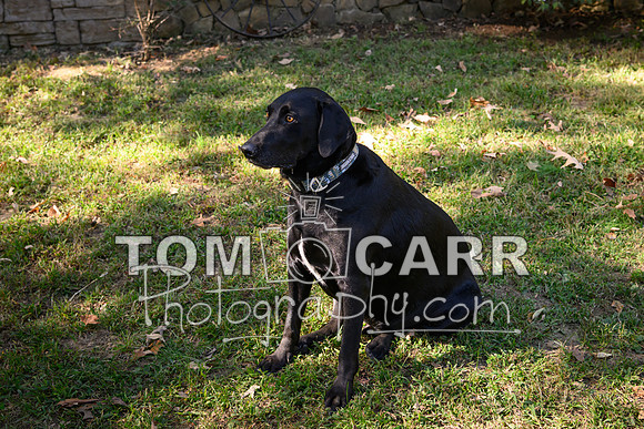 McCarty_102024-221
