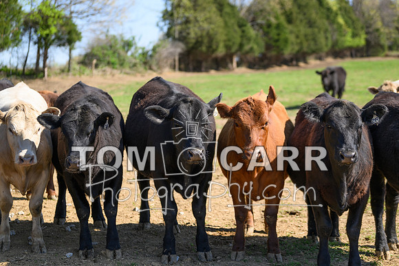 l.baggett_041123-248