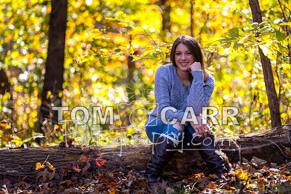 embry102216-217