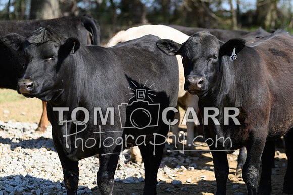 l.baggett_041123-237