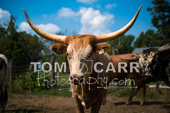 farms090115--46