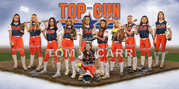 Top Gun Banner Small