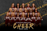 Cheer Team Photos