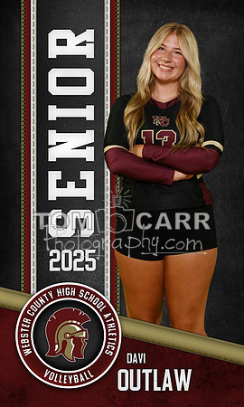D.Outlaw Volleyball Banner